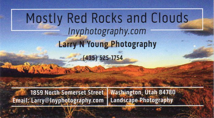 LNY Photography Business Card