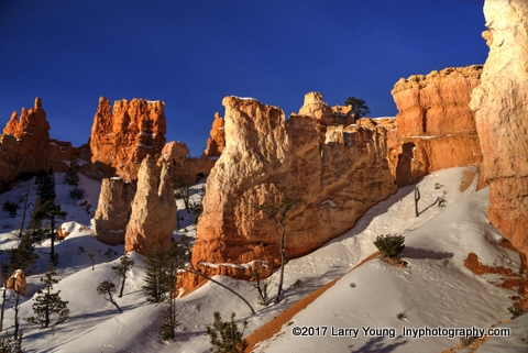 bryce