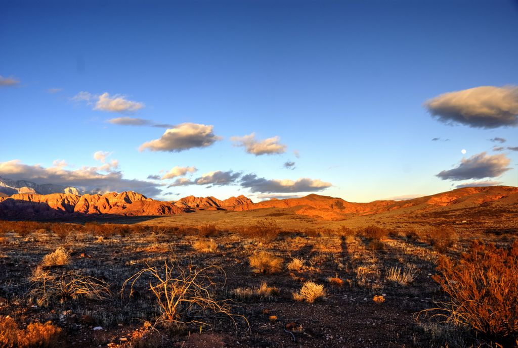 Red Cliffs Desert Reserve