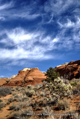 snow_canyon
